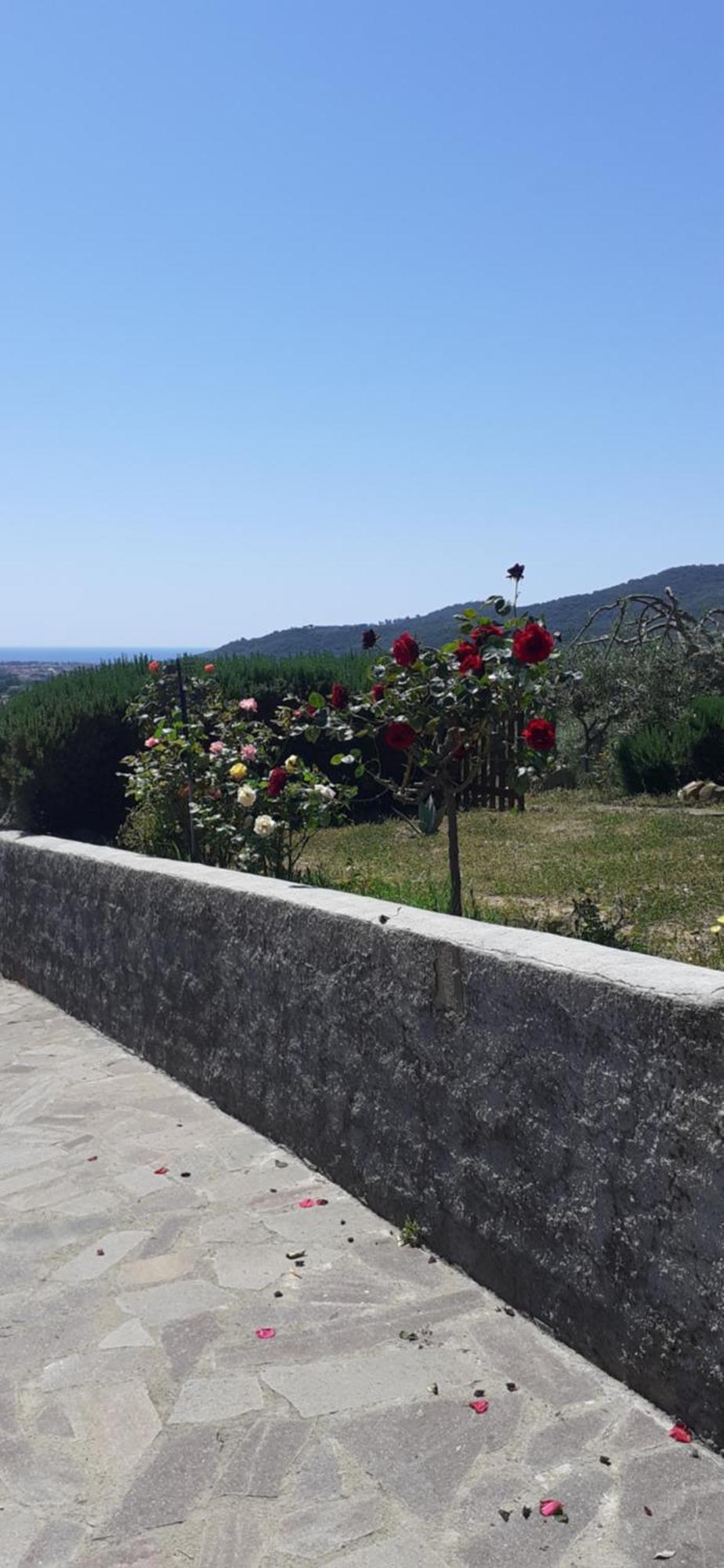 Bellavista Prile Bed and Breakfast Castiglione della Pescaia Værelse billede